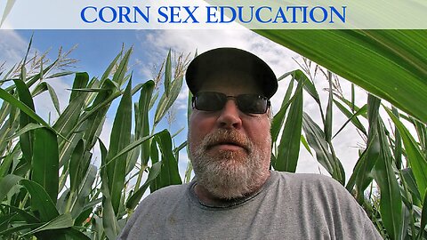 Corn Sex Education