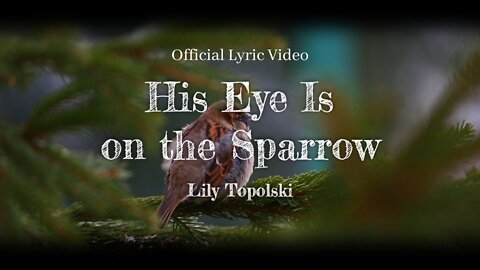 Lily Topolski - His Eye Is on the Sparrow (Official Lyric Video)