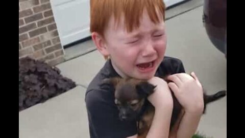 Ce petit garçon fond en larmes quand il reçoit un chiot