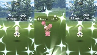 Shiny Hunting Togetic and Buneary
