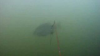 bread 4 bluegill: underwater Bait Camera