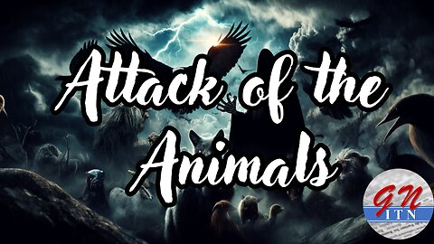 GNITN: Attack Of The Animals