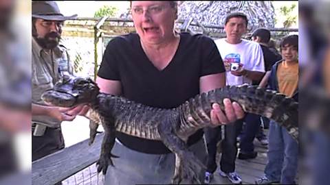 "Epic Encounters with Crocodiles and Alligators"