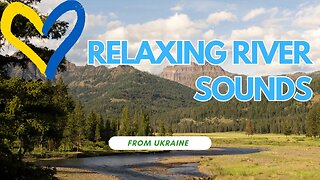 🌊 Relaxing River Sounds and Nature Ambience for Sleep 🌳🌙