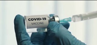 240M COVID-19 vaccine doses will be ready by the end of March