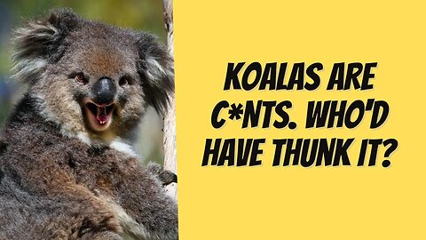 Lady attacked by Koala. Lol.