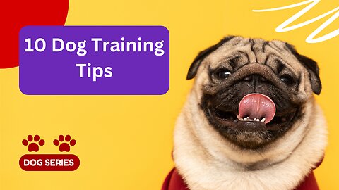 #10 Dog Training Tips🐶🥓🐾🏠