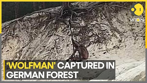 Mysterious naked 'wolfman' spotted in Germany's Harz mountains | Latest World News | WION