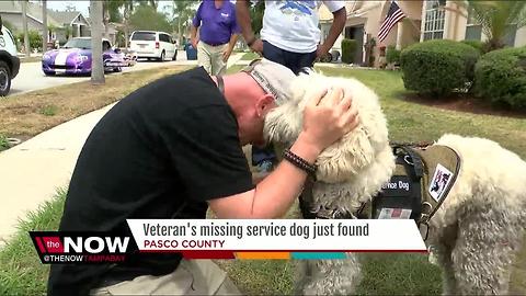 Missing service dog found after search