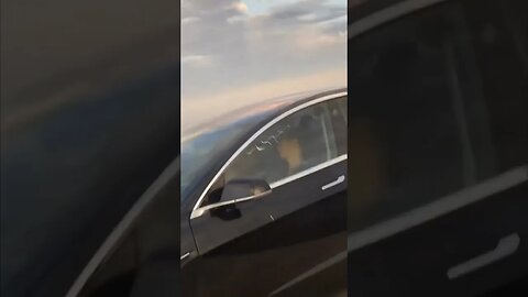 Tesla Driver Takes A Nap! 🤣