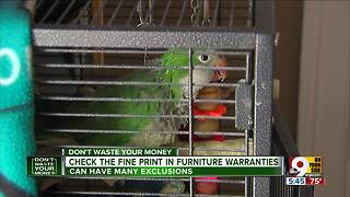 Beware: Your pet parrot could void your extended warranty