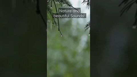 ⛅Natural Relaxing Nature Sound and Music - Study Music, Sleeping Music, Meditation Music⛅