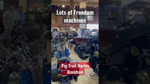 Harley Davidson-Pig Trail