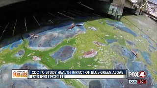 CDC to study health impacts of blue green algae