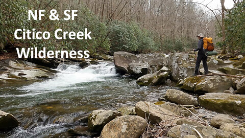 NF & SF Citico Creek Wilderness