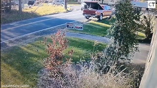 Professor Arrested After Being Caught On Camera Stealing Republican Yard Signs