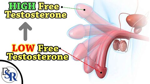 3 Best Ways Of Increasing Your Free Testosterone, Naturally