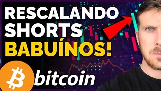 BITCOIN: REESCALANDO SHORTS!! [Babuínos ficaram presos...]