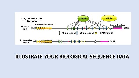 Tutorial for Using Biological Illustrator