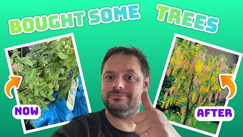 Bought some trees: Daily Vlog