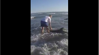 Heroic Children Save Washed Up Dolphin In Spain