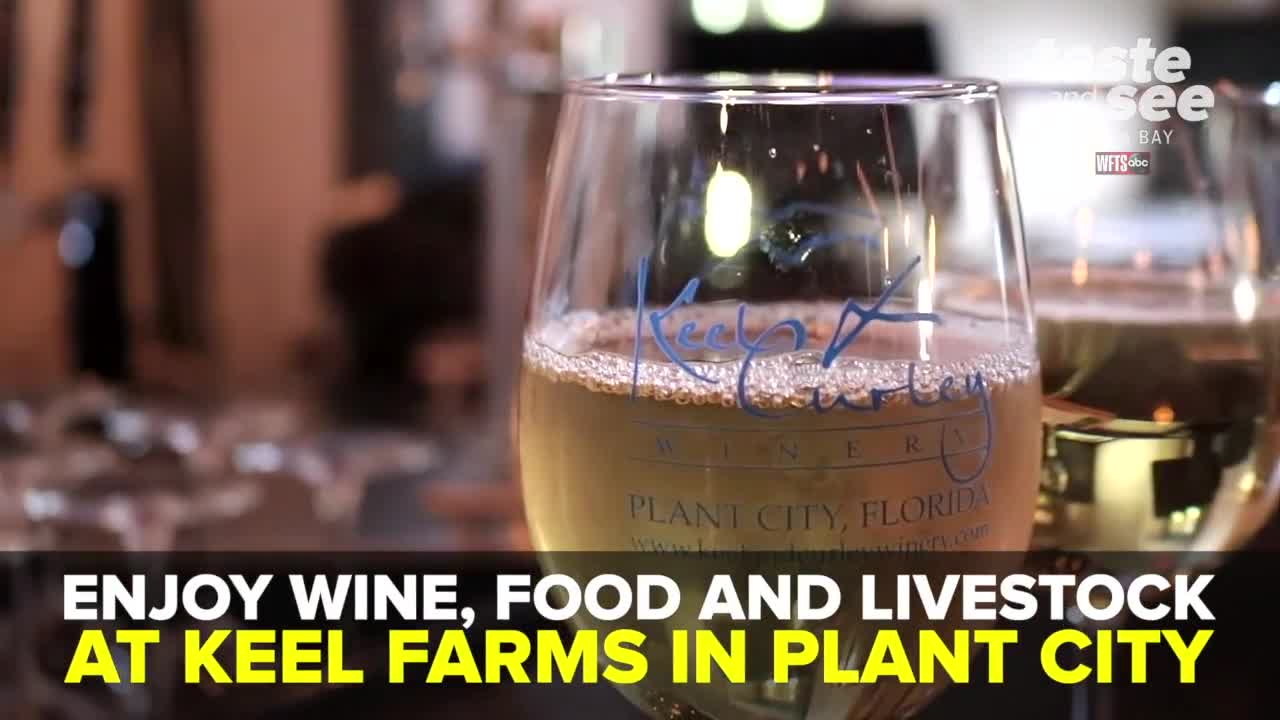 Grab a glass of wine and check out Keel Farms in Plant City | Taste and See Tampa Bay