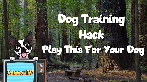 Dog Training Hack Play This For Your Dog