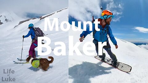 Mt Baker summit by a dog and 2 humans - Ski/Splitboard the Easton Glacier