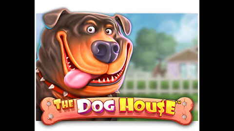 jogos de casino online The Dog House Megaways 🔥 This Slot is Insane OMG‼️ #games #slot