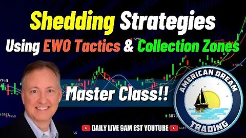 Trading Excellence - EWO Tactics, Shedding Mastery & Collection Insights