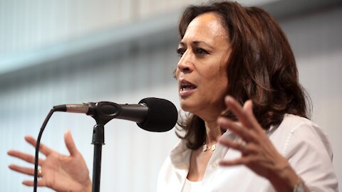 With Kamala Out, Libs Angered by Whiteness of Dem Field