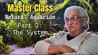 The Ultimate Master Class In Natural Aquariums Part 2: Creating A Living System