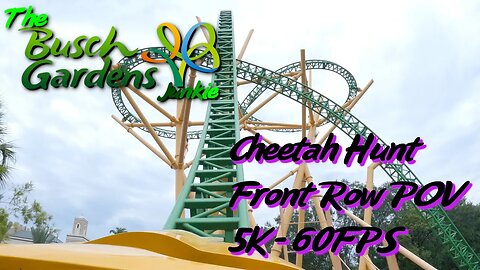 Cheetah Hunt Front Row POV in 5K at 60FPS!