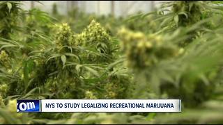 New York to study legalizing recreational marijuana