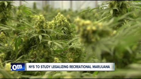 New York to study legalizing recreational marijuana