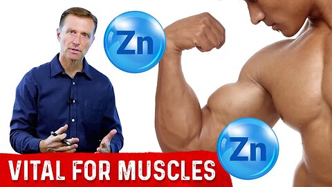 The Importance of Zinc for Muscles