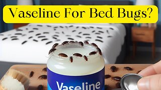 Does vaseline work for bed bugs? #bedbugs #bedbugcontrol
