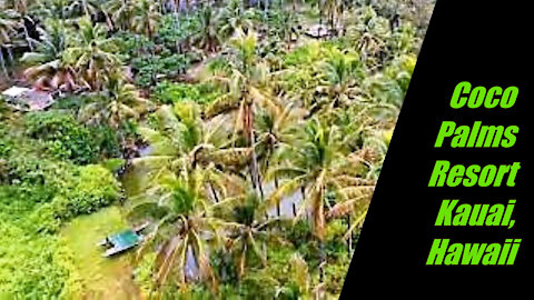 Coco Palms Abandoned Kauai Hawaii Resort Drone