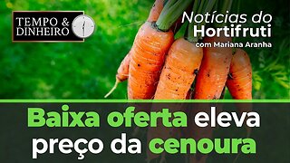 Baixa oferta eleva preço da cenoura. Volume reduzido de banana