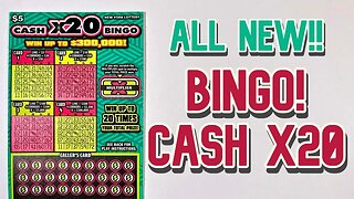 B-I-N-G-O!!! All NEW Scratch Off Tickets from the New York State Lottery : Bingo X20!!