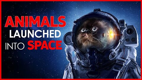 ANIMALS LAUNCHED INTO SPACE | ANIMALS IN SPACE | NASA | FIRST ANIMAL IN SPACE