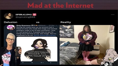 Jamie Lee Curtis's Vtuber Son - Mad at the Internet