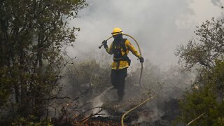 Six Dead, 500 Structures Destroyed As California Fires Grow
