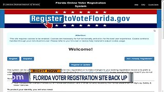 Voter registration website back up