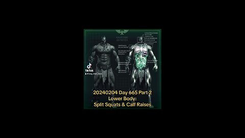 20240204 Day 665 Part-2 - Lower Body: Split Squats & Calves