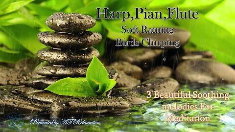 Mix 3 Beautiful melodies | Heart Touching spa music | Soft Raining + Birds Singing #relaxing #music