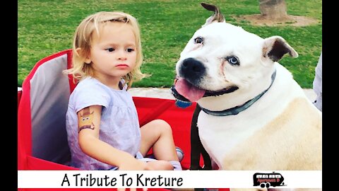 A Tribute to Kreture - You are Dearly Missed.