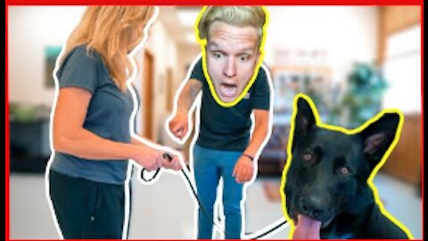 SHE CAN FINALLY CONTROL HER DOG! (THE ULTIMATE DOG TRAINING GUIDE)
