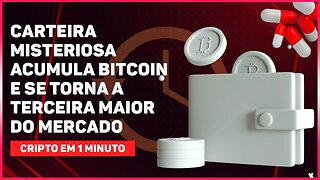 CARTEIRA MISTERIOSA ACUMULA BITCOIN E SE TORNA A TERCEIRA MAIOR DO MERCADO