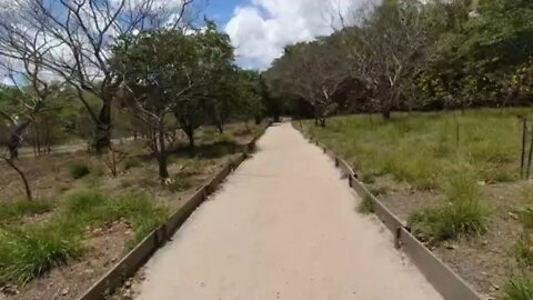 Pedalando Na Trilha do Parque do Cocó